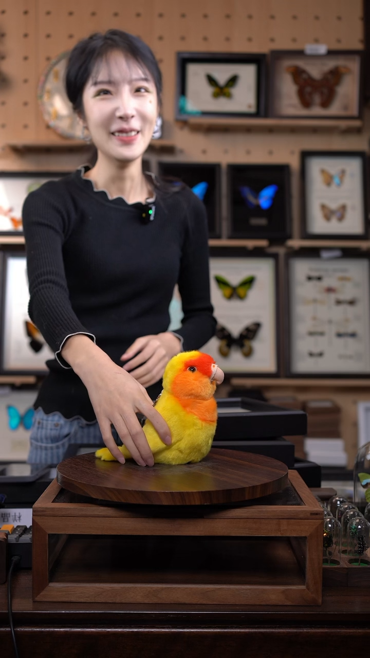 M***娃鹦鹉玩偶标本摆件