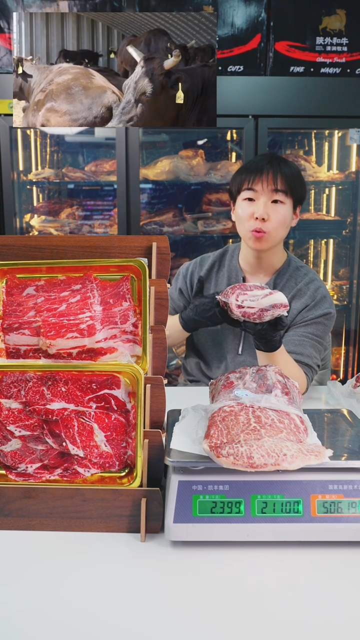 24个月中国大陆2.1kg   a3菲力