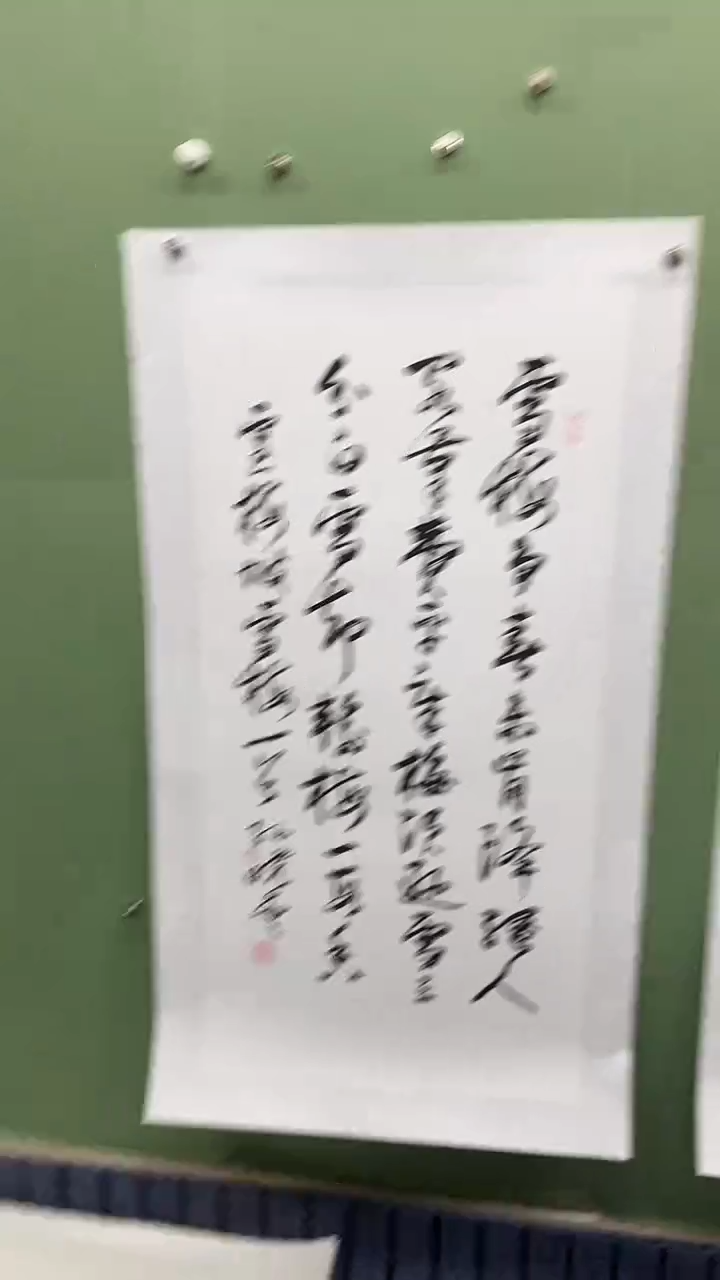 竖款精品三尺书法，雪梅