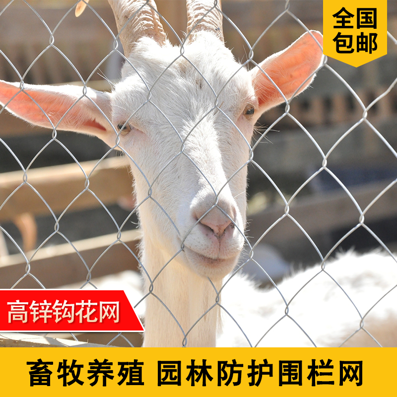 热镀锌防锈铁丝网养殖围栏网圈牛羊果园户外隔离防护菱形网勾花网
