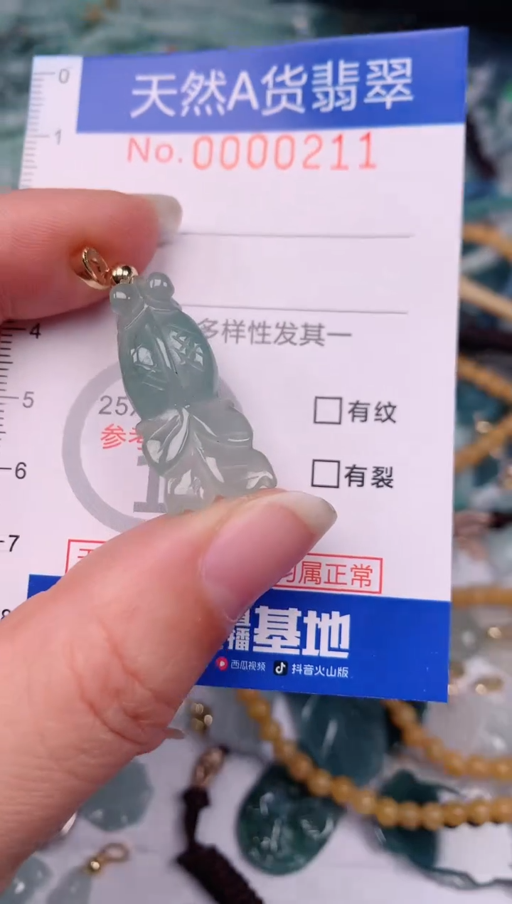【闪购商品】翡翠颈饰未镶嵌00000211