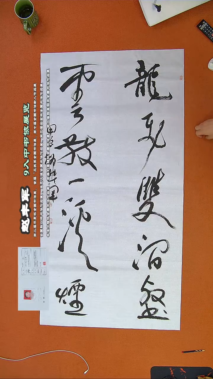 【闪购商品】书法480D赵丰军书法作品