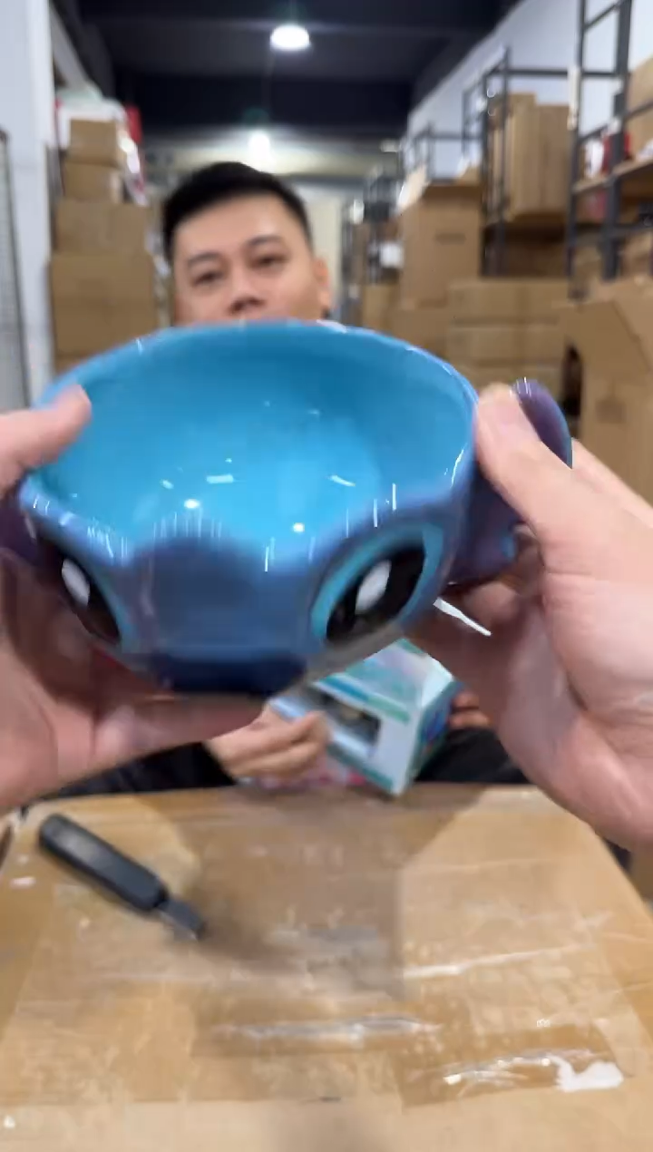 瓷片原盒史迪仔沙拉碗