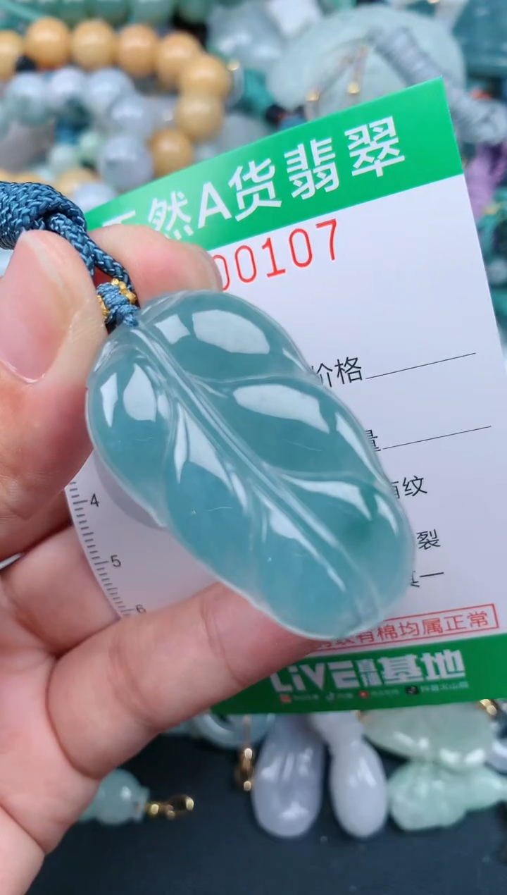 翡翠未镶嵌颈饰.0000107