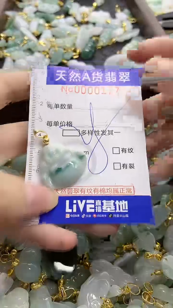 颈饰未镶嵌翡翠天然A货翡翠