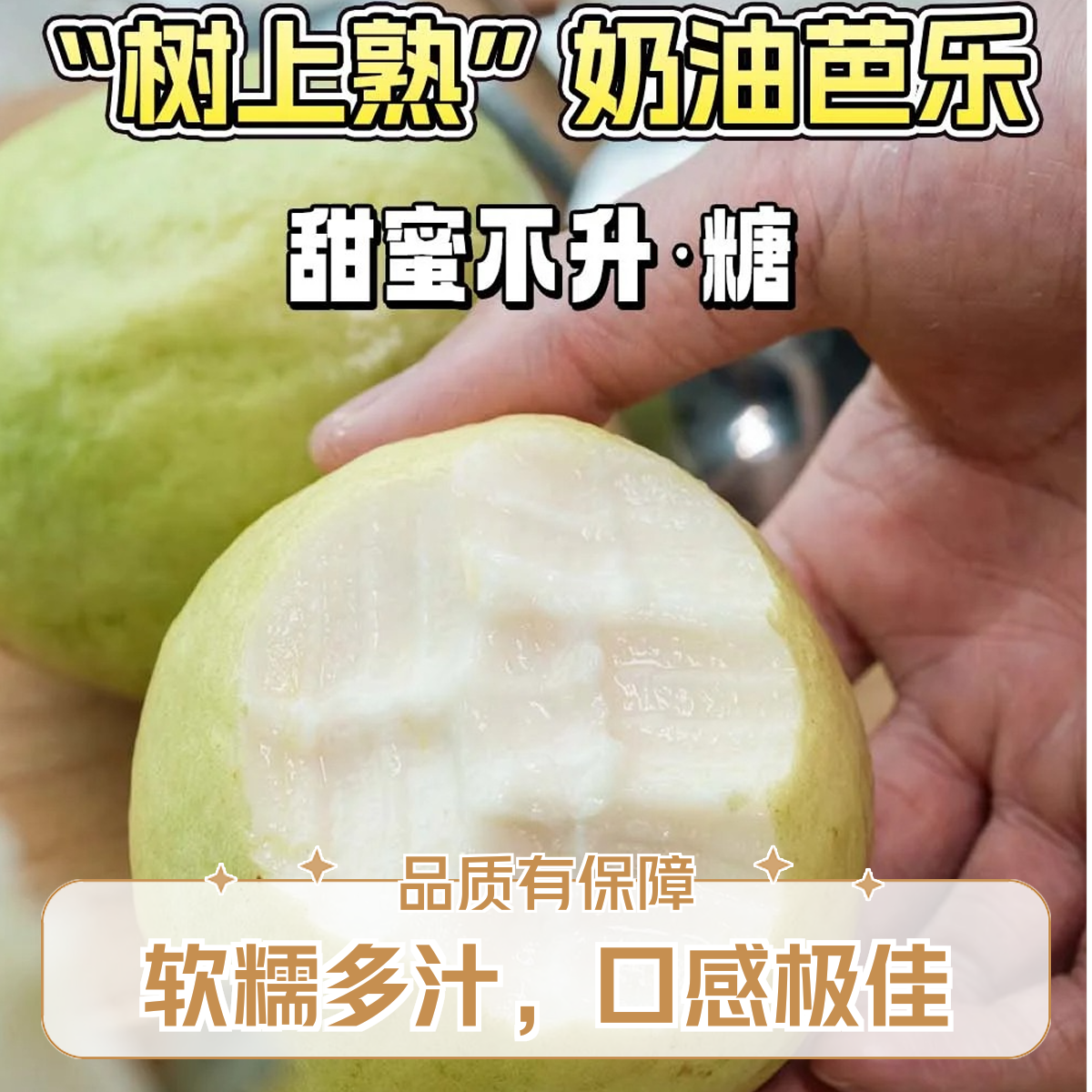 【奶油白心】树上熟奶油芭乐低脂低卡低糖口感软糯净果2斤新鲜福建省