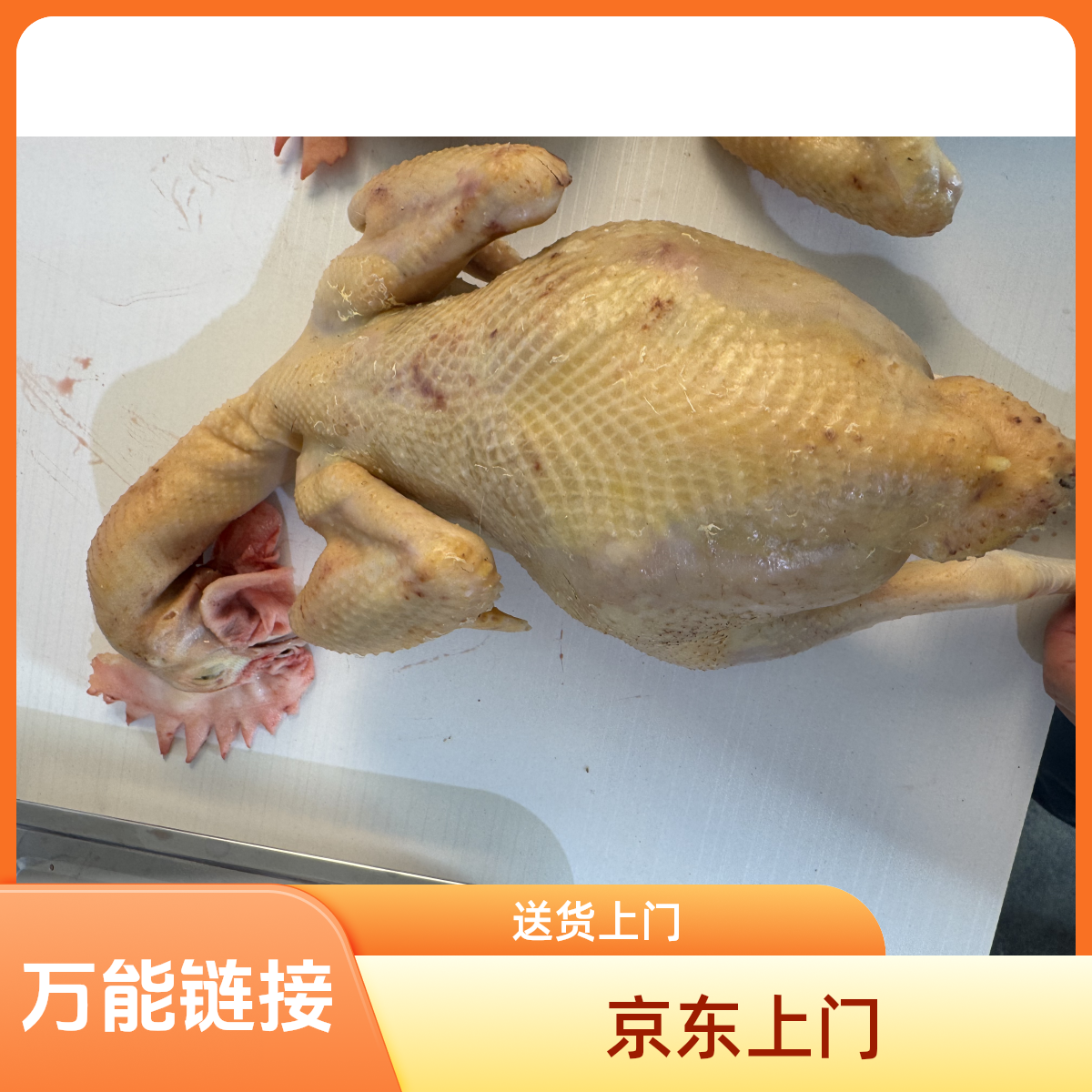 【直播间现场量称】生鲜下单不退不换 包冰率不含冰