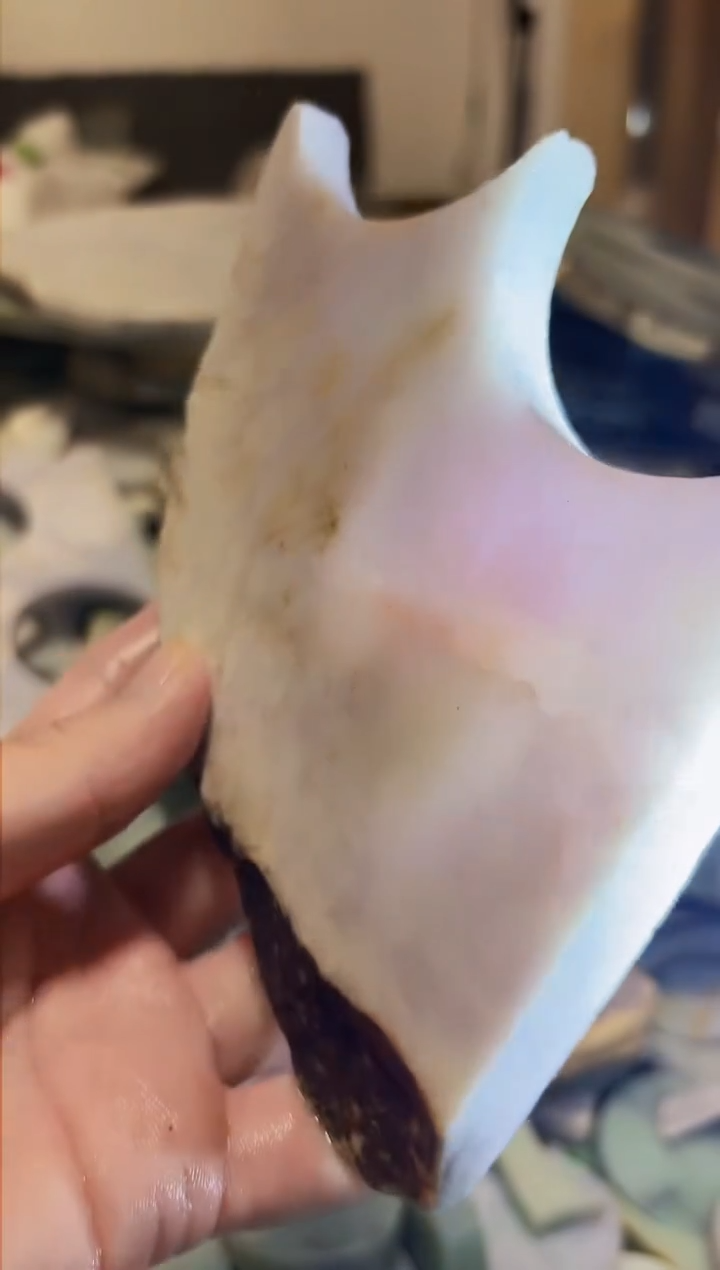 【闪购商品】翡翠颈饰未镶嵌A货白文1796