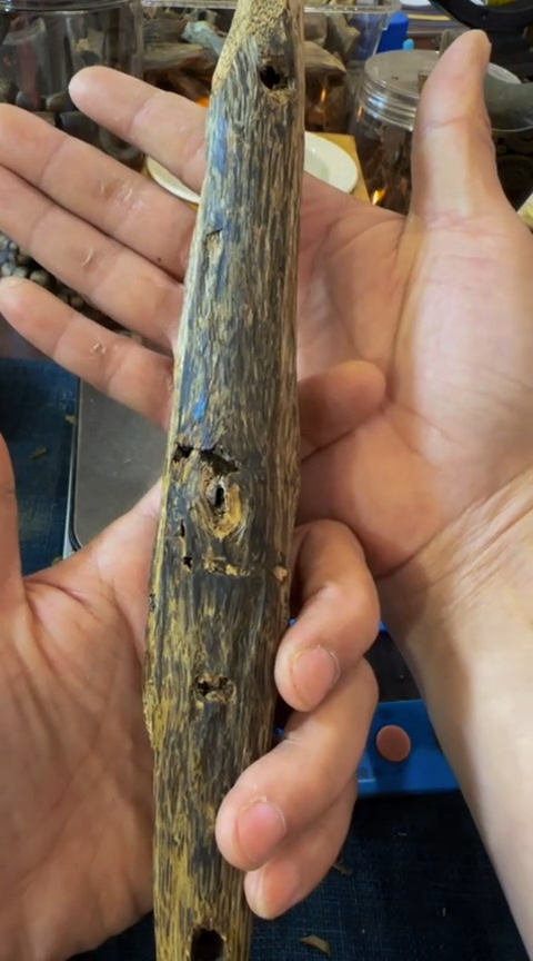 【闪购商品】沉香摆件棋楠虫漏块料85克