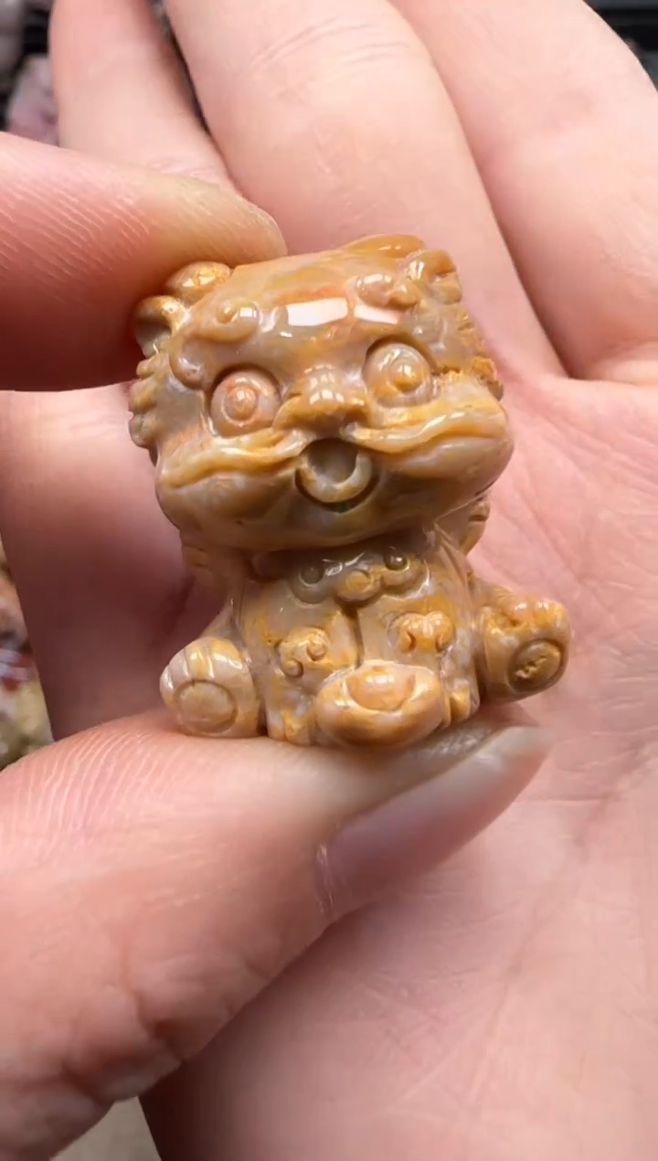 【闪购商品】硅化珊瑚（珊瑚玉）颈饰未镶嵌521