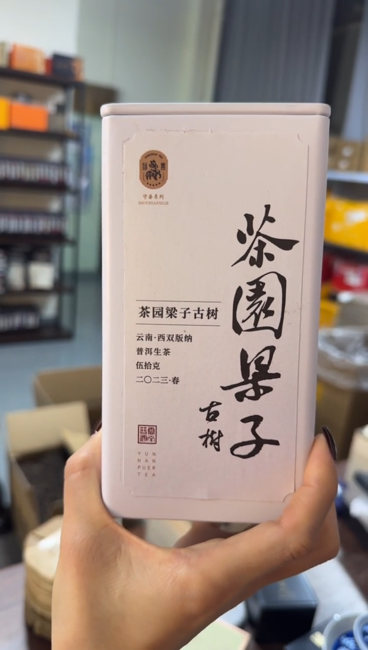 2023年春·莽枝茶园梁子古树普洱生茶50g散茶