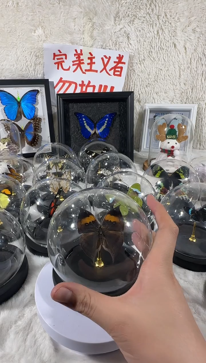 雪**9枯叶水晶球   