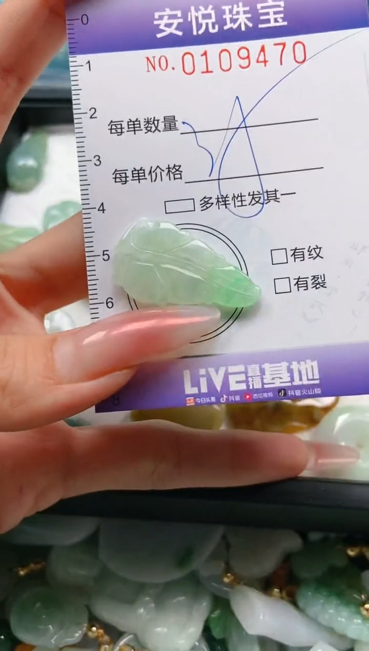 【闪购商品】翡翠颈饰未镶嵌闪购0109470