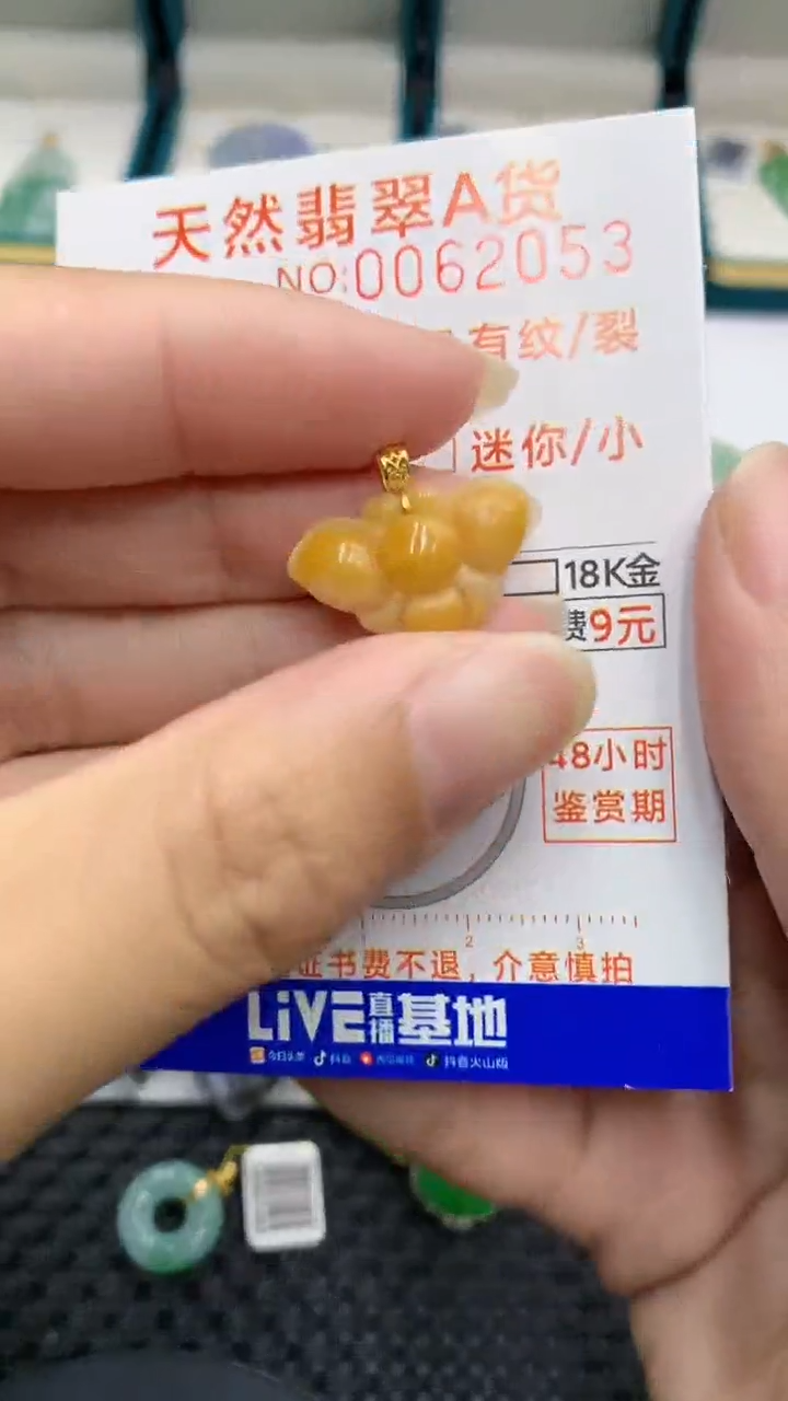 【闪购商品】翡翠颈饰18K金镶嵌            8