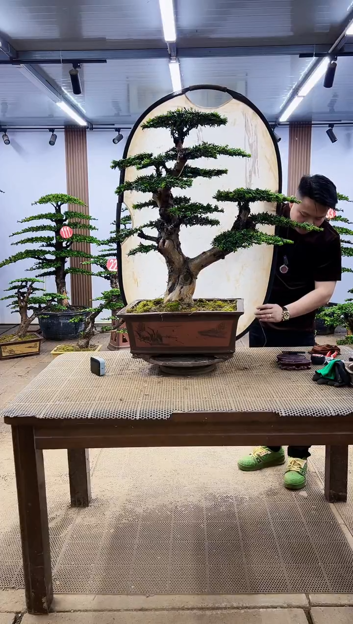 无花朵一物一拍，所见即所得