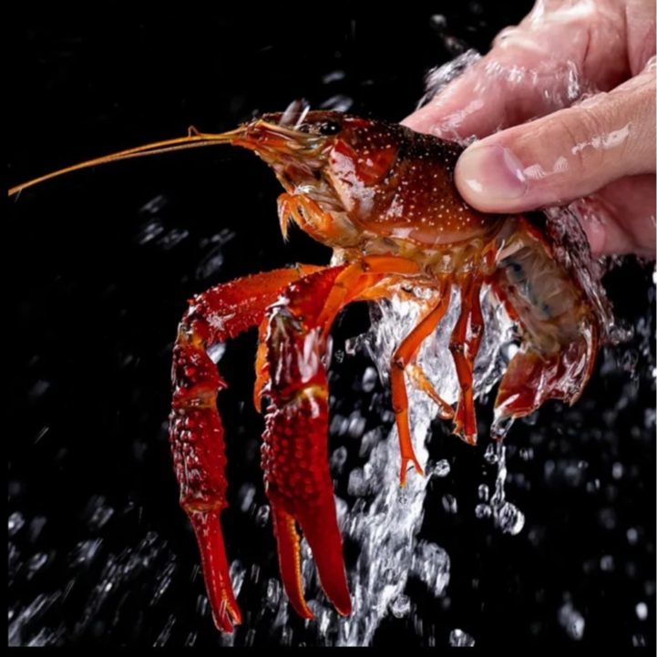 【冯长广小时达】 小青 鲜活小龙虾一斤30个左右