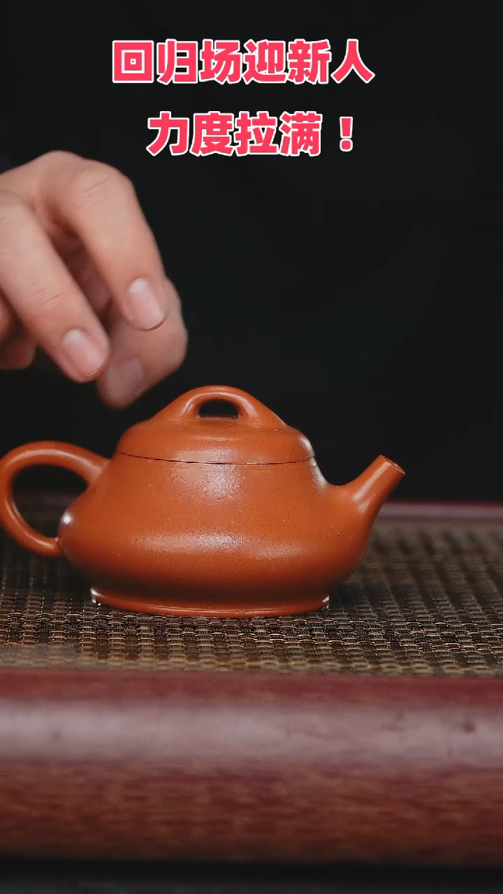 【闪购商品】紫砂茶壶紫砂茶壶