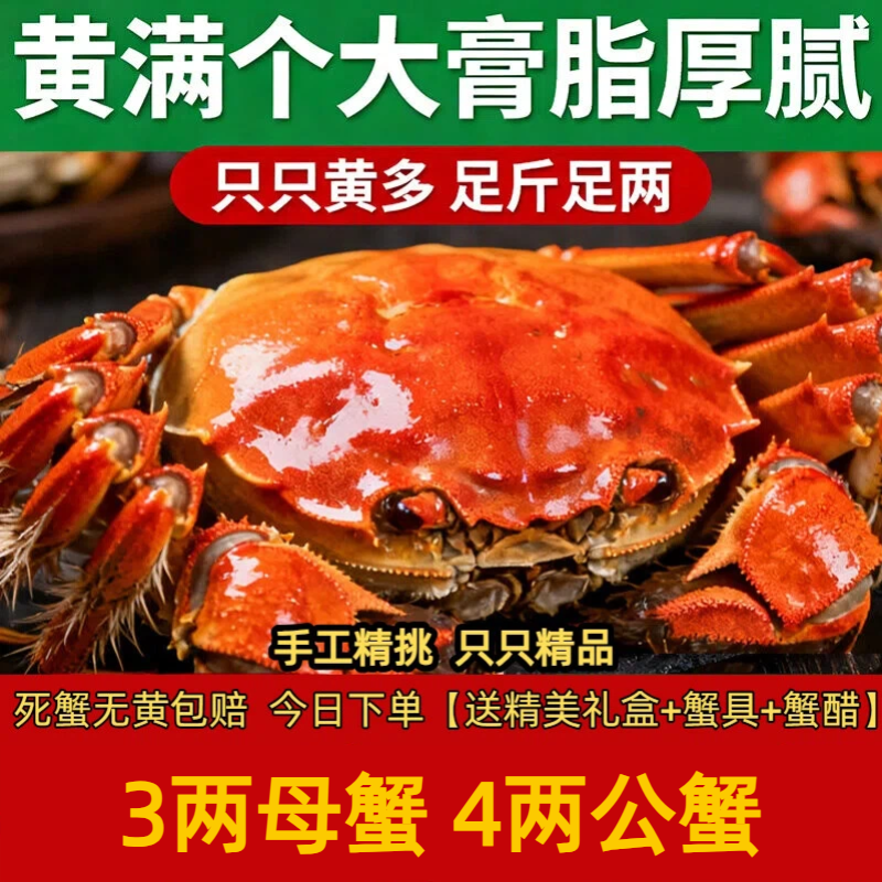 【全趾活蟹】江苏大闸蟹 精挑3两母蟹+4两公蟹 3/4/5对