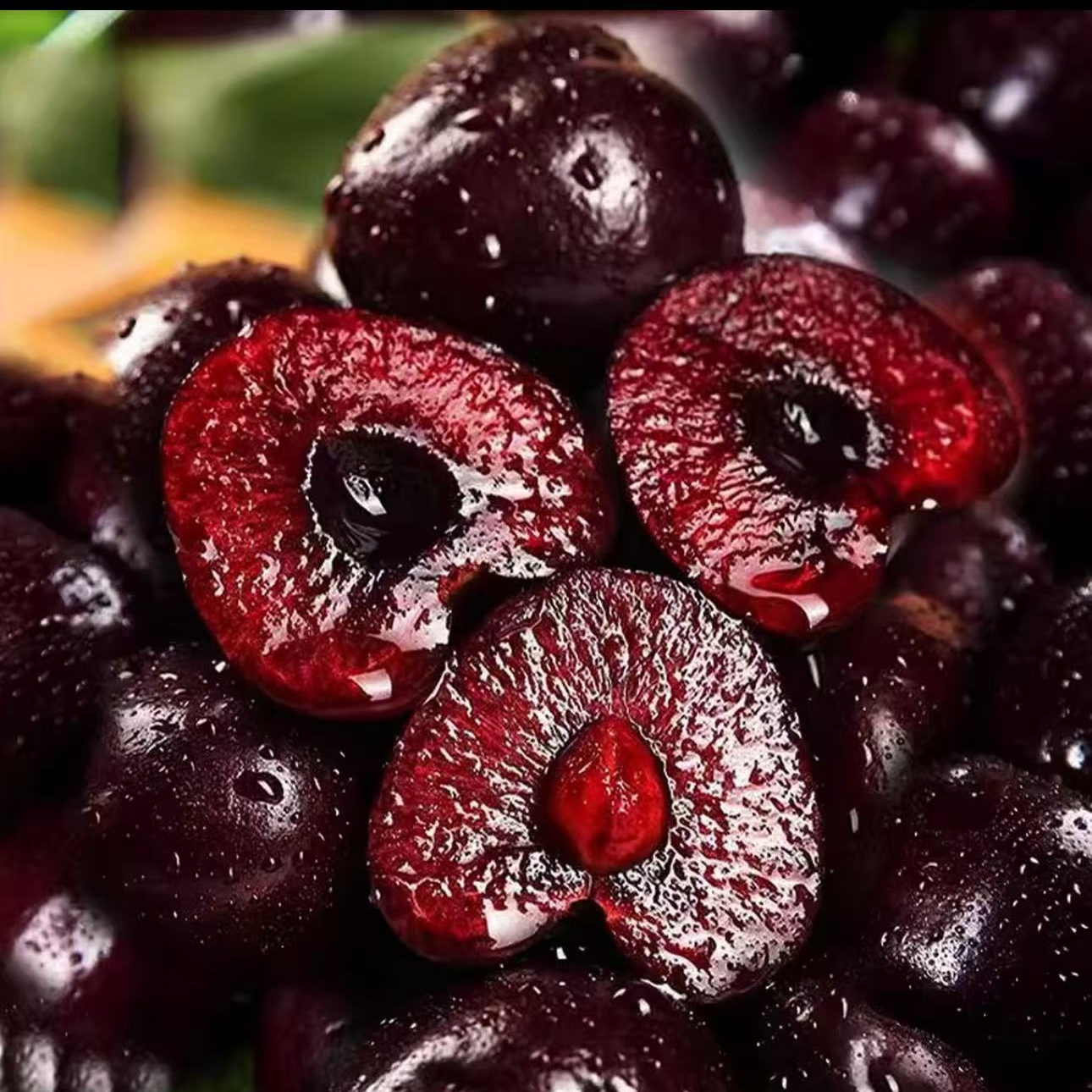 X【顺丰明天送到】3JD智利空运桑提娜车厘子头茬果内附果径卡净1.6斤桑提娜樱桃智利共和国