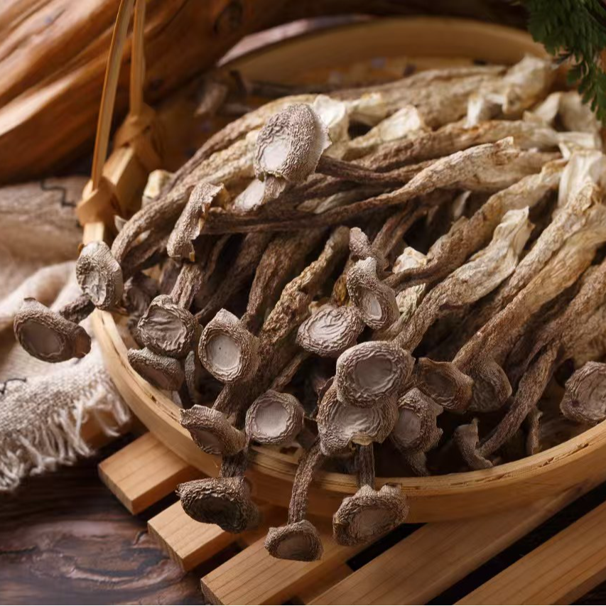 【主播专属】产地直供鹿茸菇 清炒炖汤美味鲜