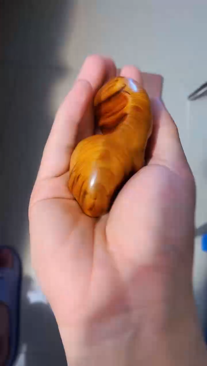 【闪购商品】柏木69崖柏崖柏崖柏崖柏崖柏