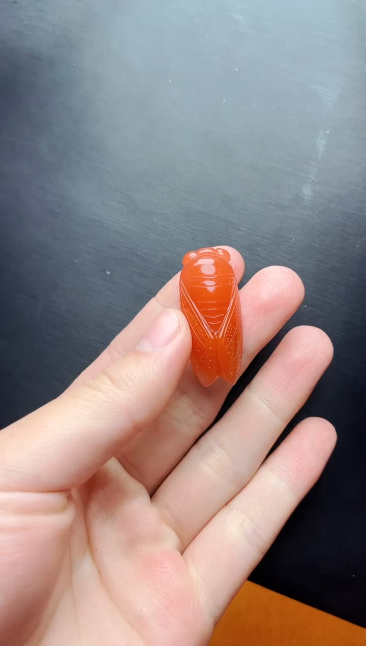 【闪购商品】南红玛瑙颈饰未镶嵌一鸣惊人kk