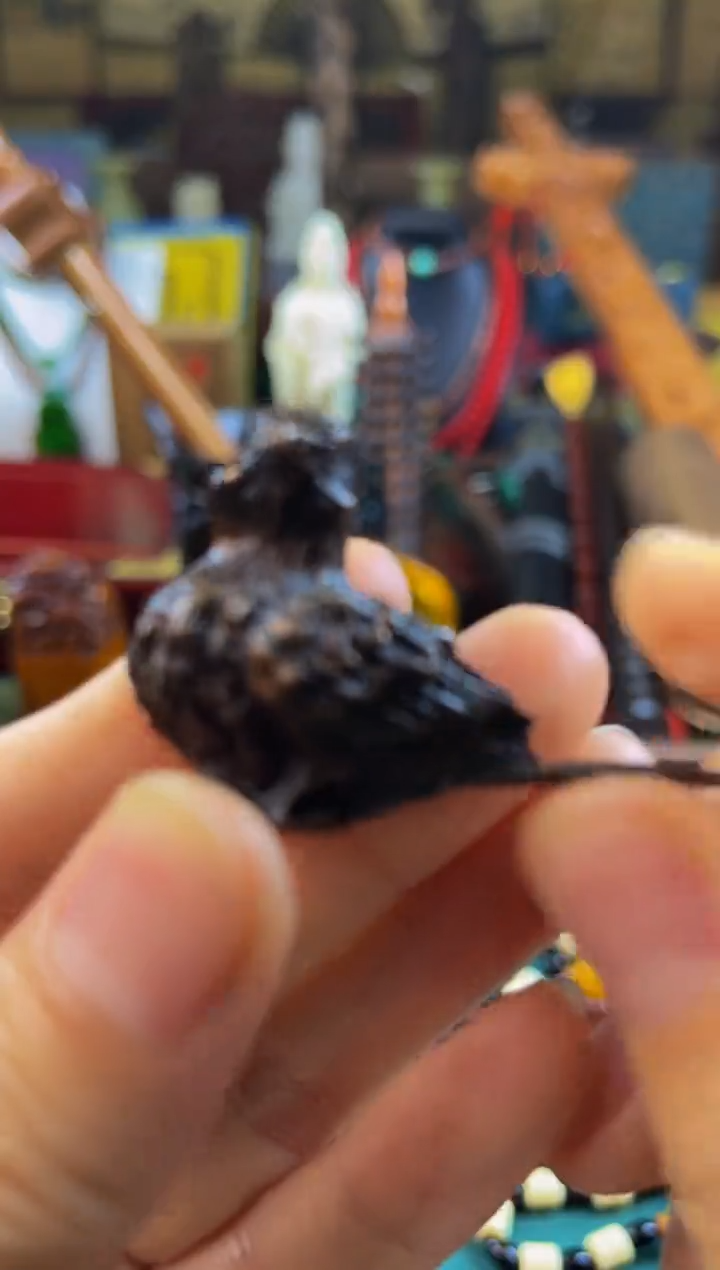 林氏直播精选推荐