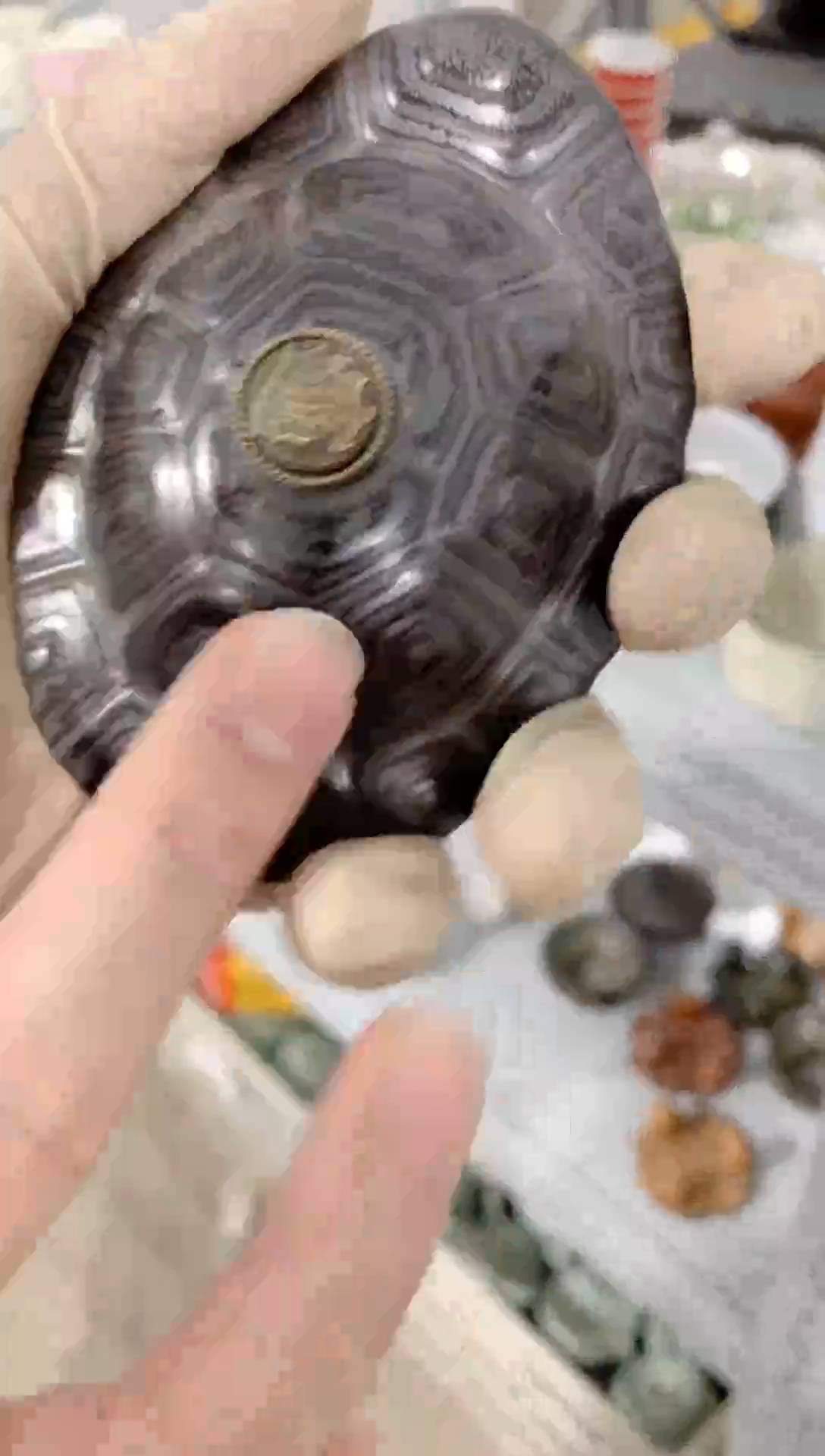 【闪购商品】陶瓷茶杯茶碗茶壶（轻轻微瑕）