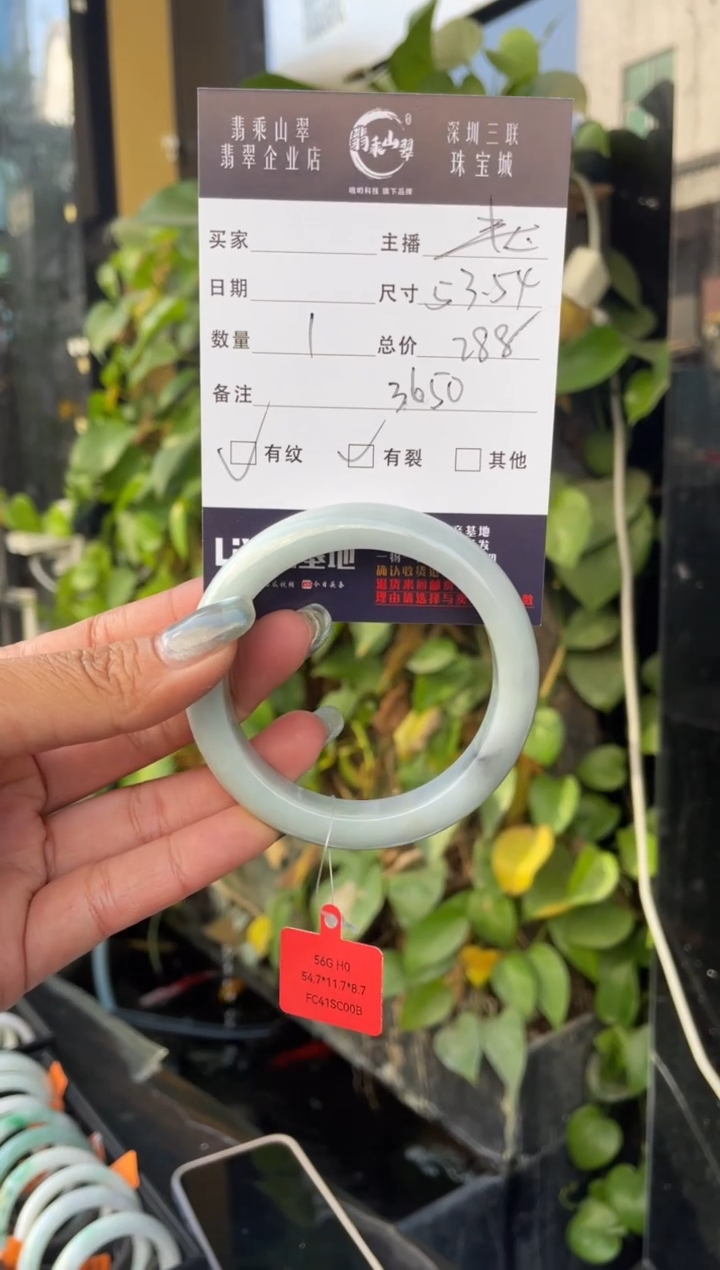 【闪购商品】翡翠手镯未镶嵌C 53+正圈--3650