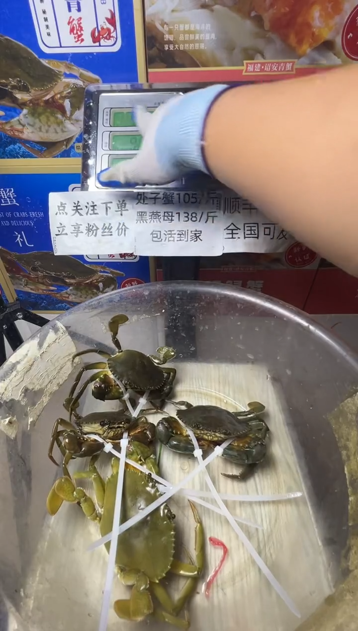 中国大陆不**过福建漳州青蟹