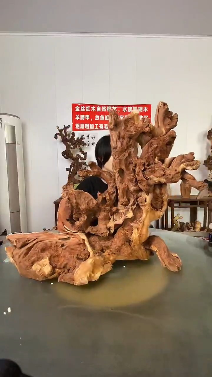 香榧木阿*金丝红木 羊蹄甲