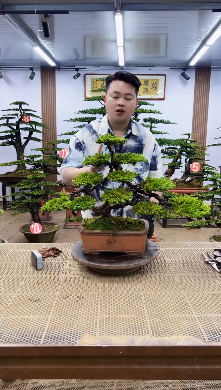 一物一拍，所见即所得