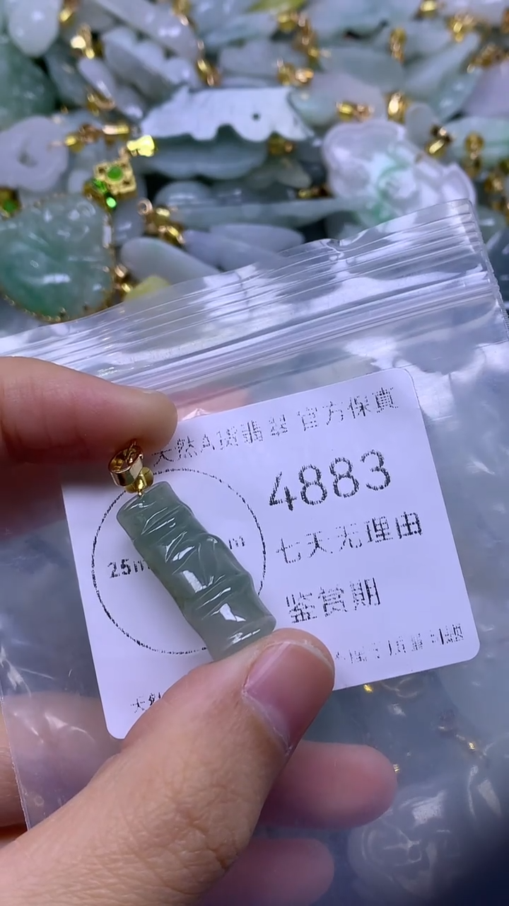 颈饰未镶嵌翡翠1