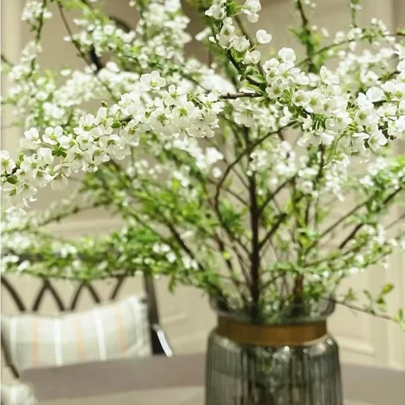 【R】雪柳鲜枝年宵花室内水培植物插花好养真花卉盆栽龙柳绿植带花苞