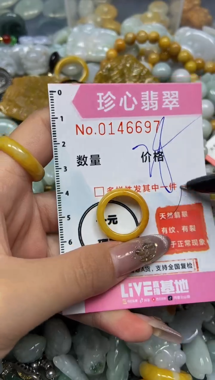 【闪购商品】翡翠颈饰未镶嵌闪购0146697