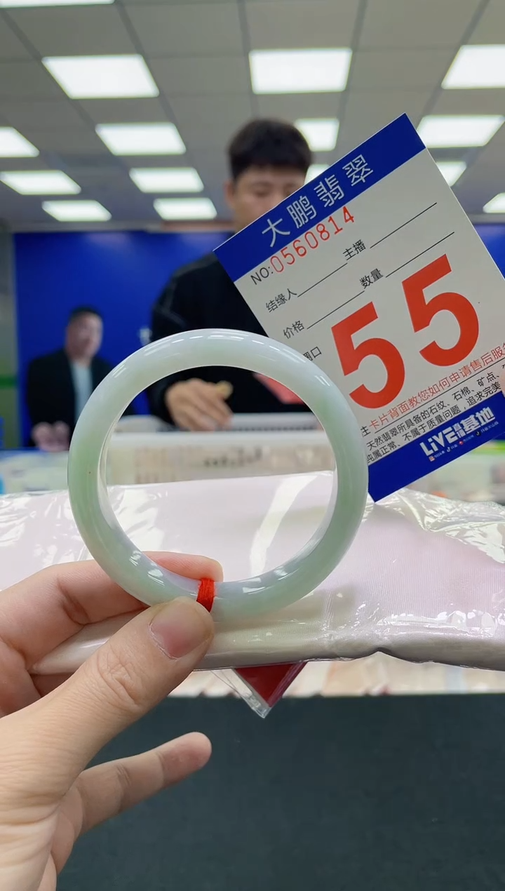 未镶嵌手镯翡翠AAAAAAAAA