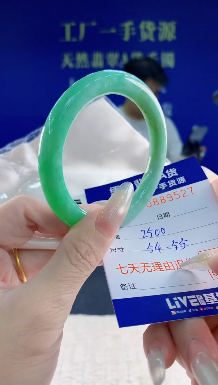 未镶嵌手镯翡翠27