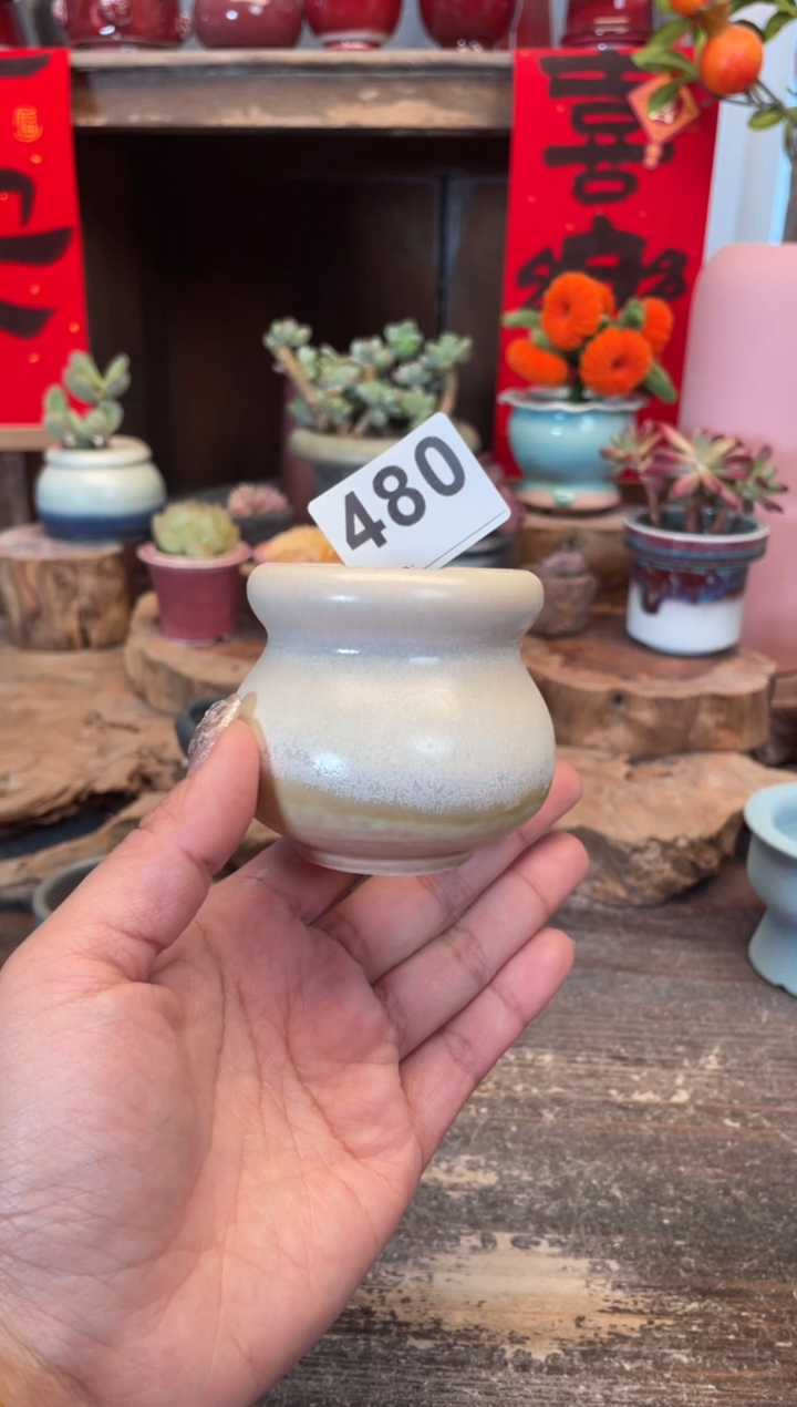 【闪购商品】摆件480知木小芳花盆