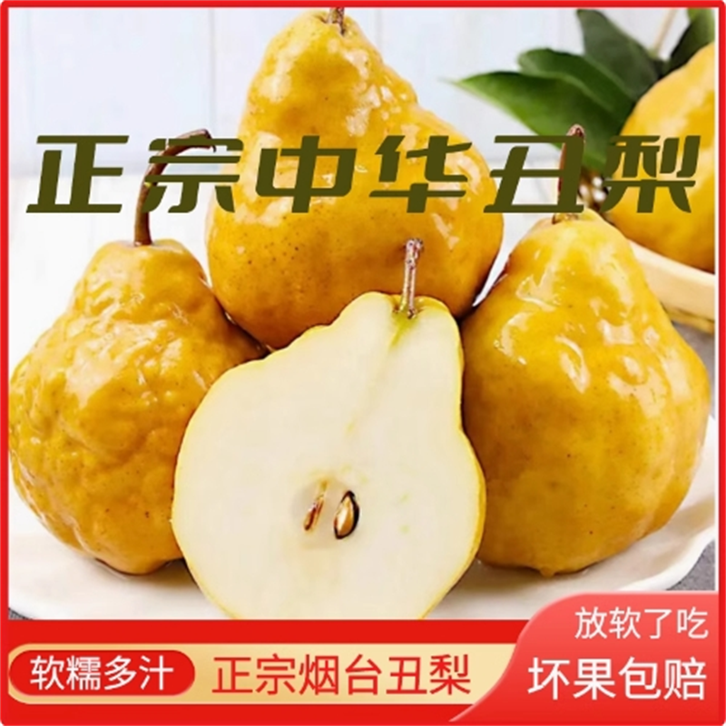 【软甜】烟台丑梨大果糯多汁新鲜水果啤梨整箱包邮正宗山东莱阳梨
