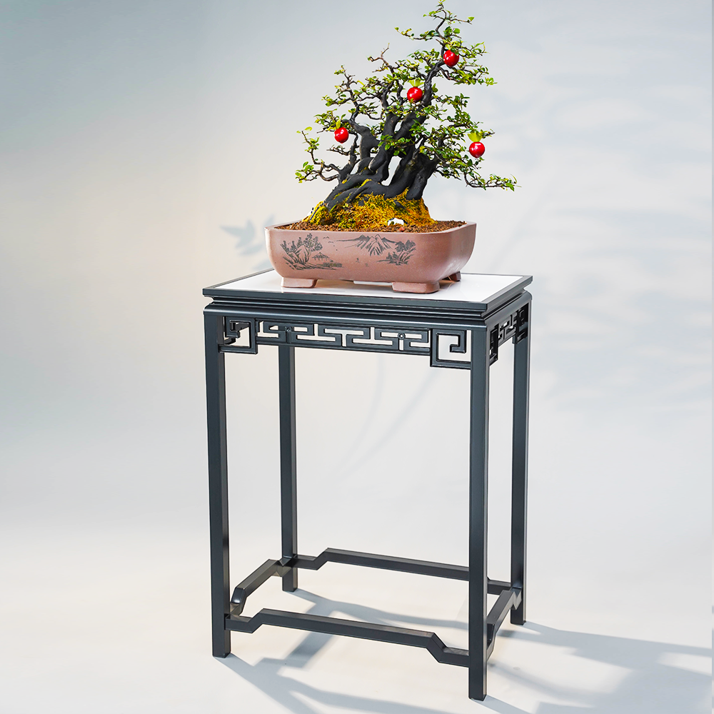 【景上园】【60x40x80cm】户外庭院室内盆景几架博古架特大盆景专用