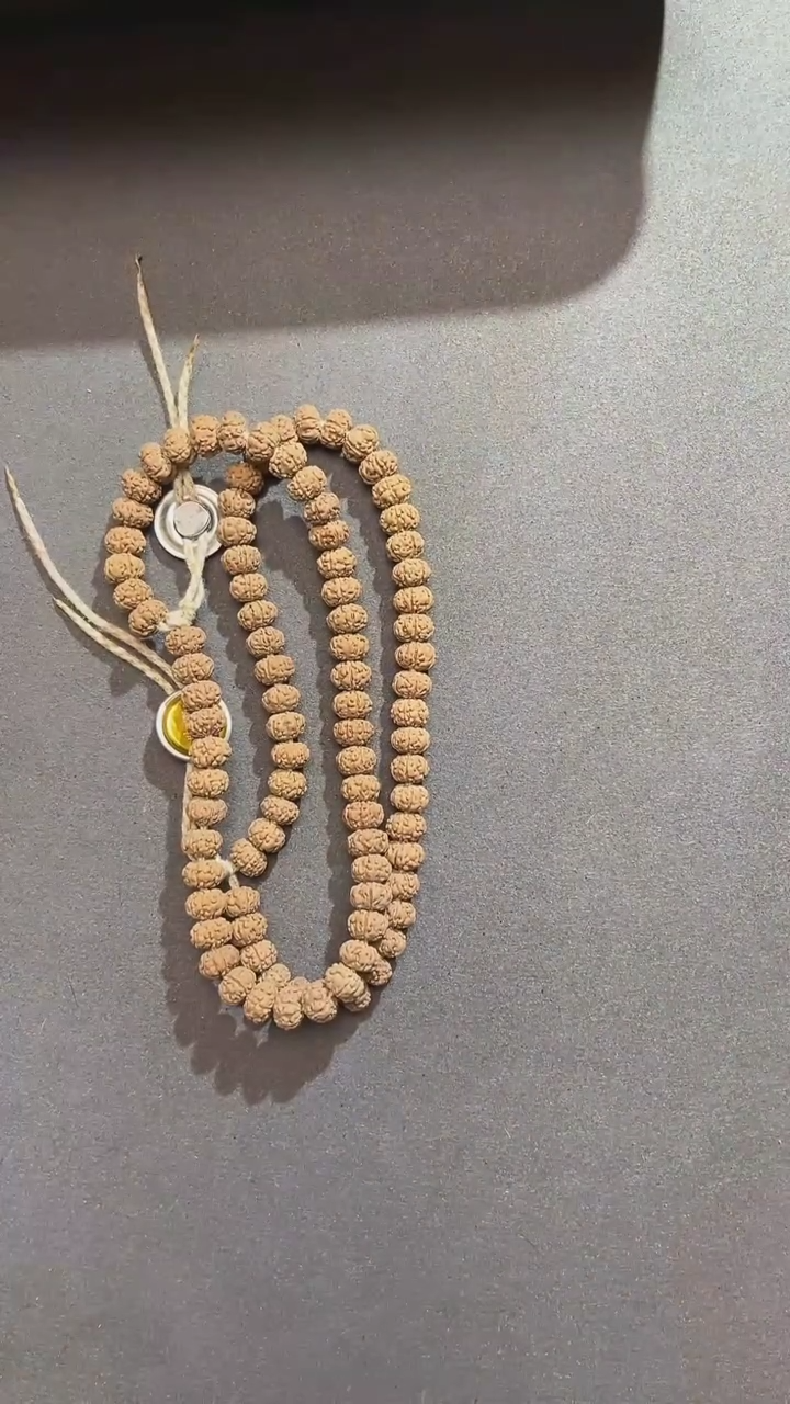 【闪购商品】金刚菩提手串树王手持 尺寸随机