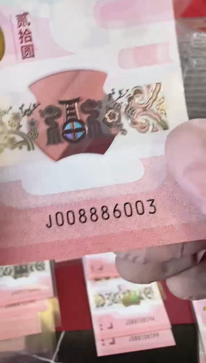 【闪购商品】塑料2025蛇钞单张裸008886003