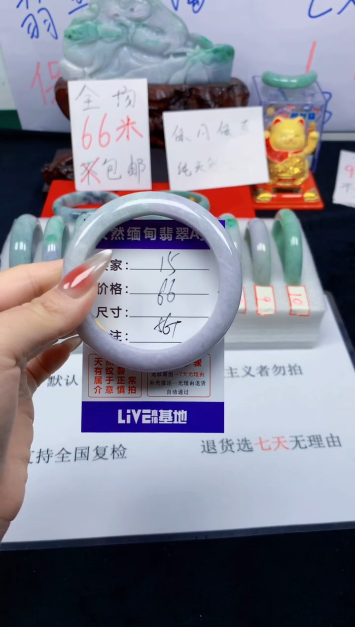 未镶嵌手镯翡翠15