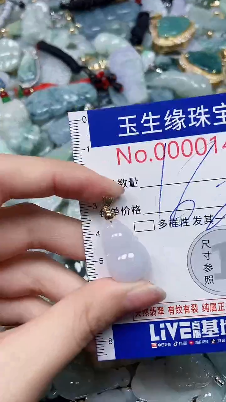 【闪购商品】翡翠颈饰未镶嵌闪购00000143