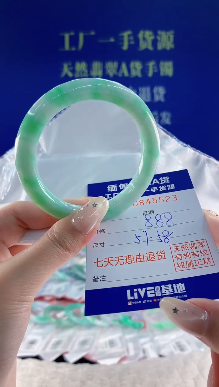 未镶嵌手镯翡翠23