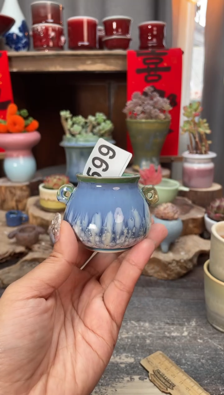 【闪购商品】摆件599知木小芳花盆