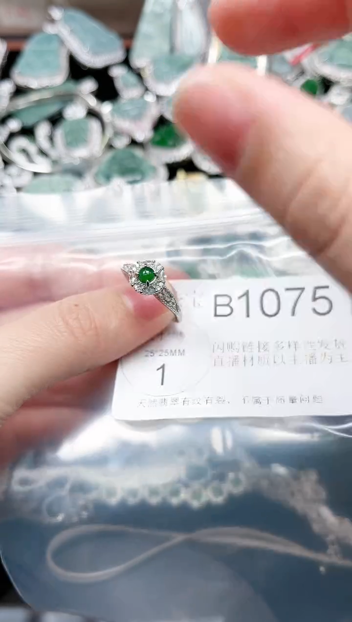 【闪购商品】翡翠颈饰未镶嵌1075赠皮绳