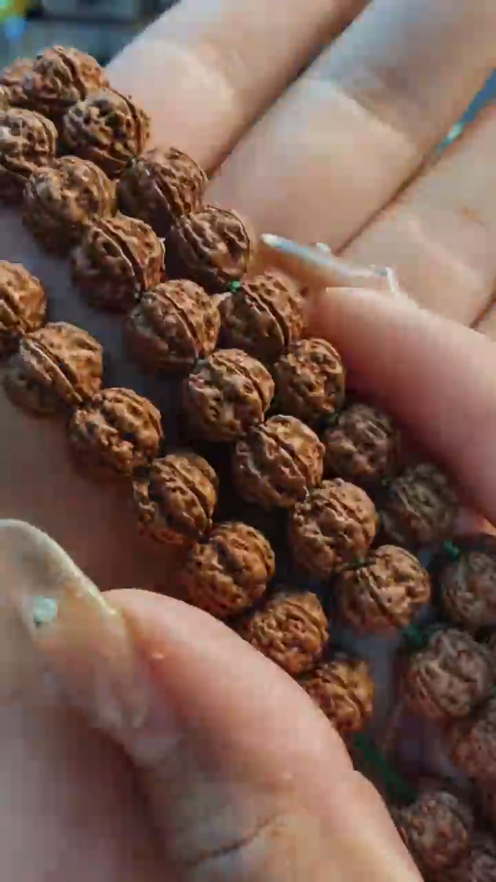 【闪购商品】金刚菩提手串659龙爪梅花尺寸10左右+钢丝刷