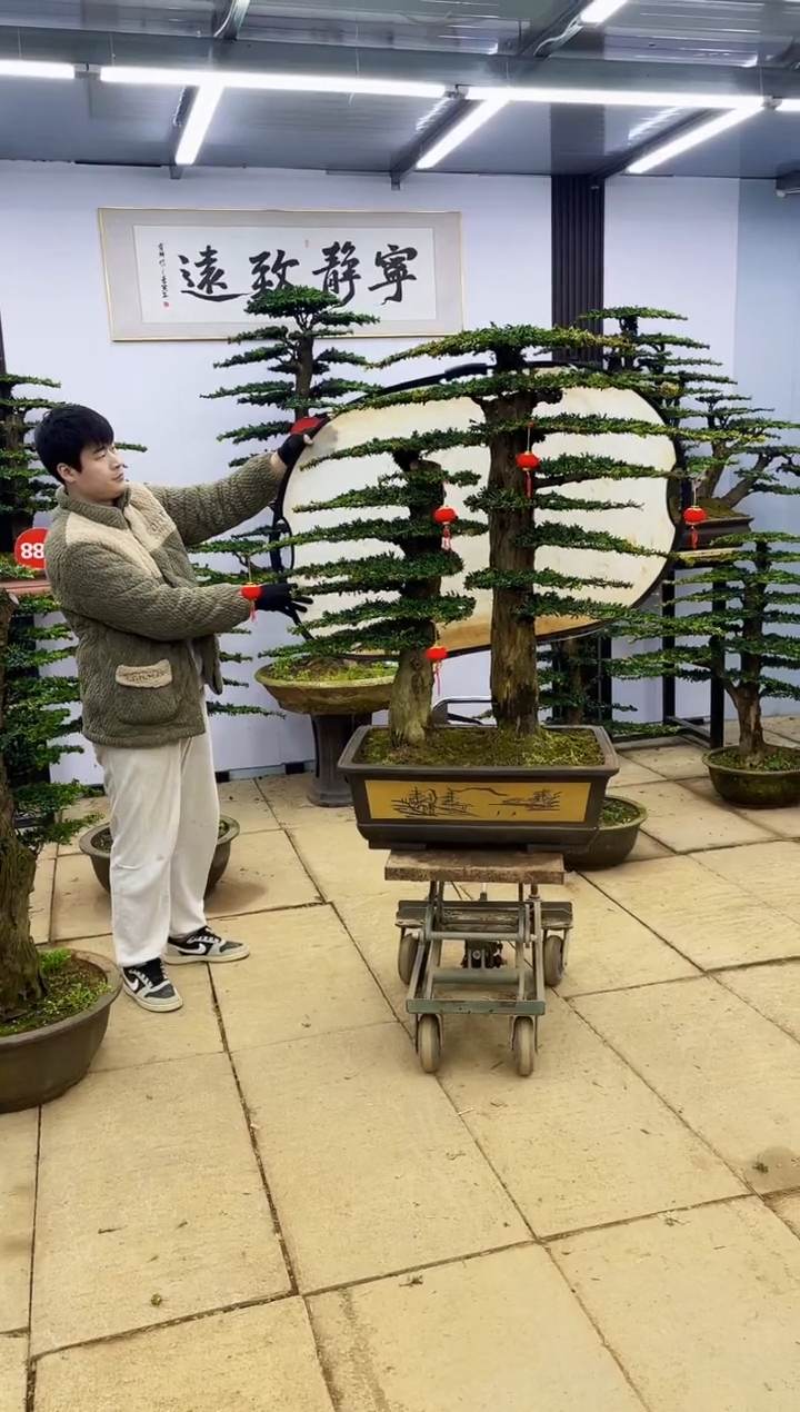 【闪购商品】0000000