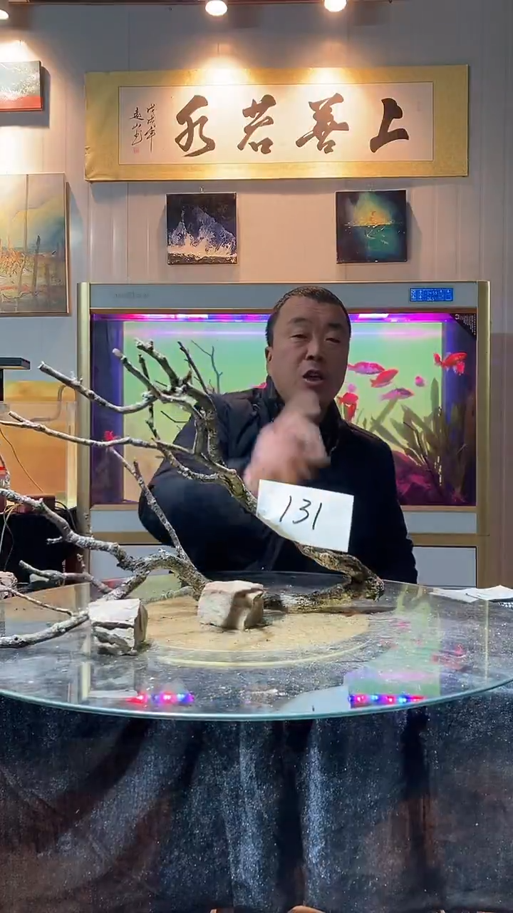 131号天然黄栎木一体成景长58适合60-70缸